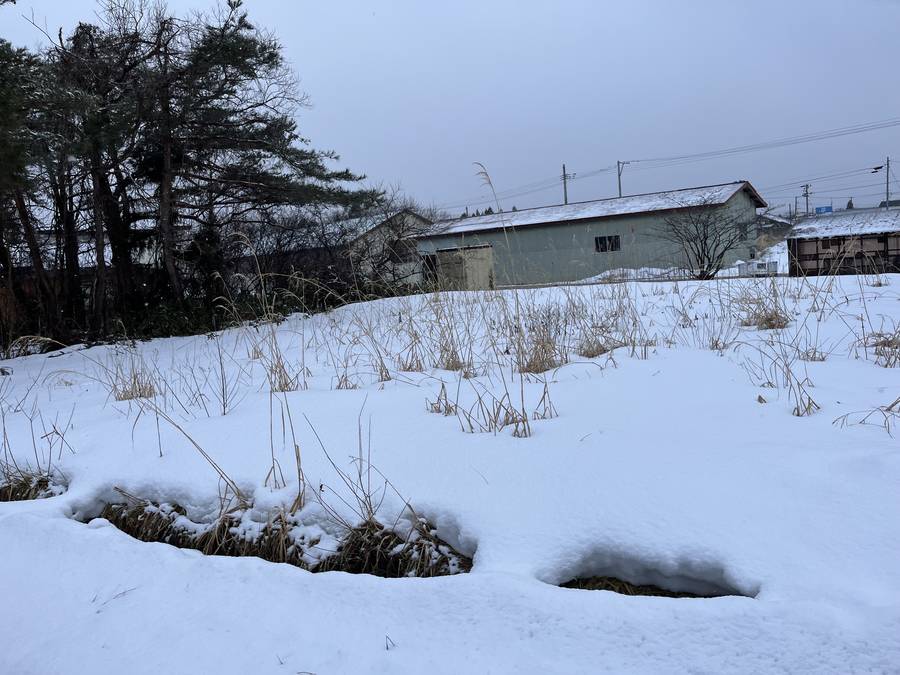 品ノ木34-470　売り地